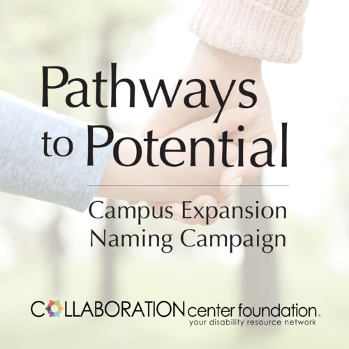 Pathways to Potential Fundraising Campaign